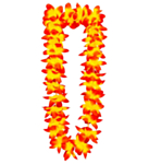 Hawaiikrans Oransje og Gul