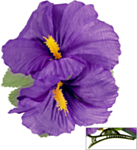 Hibiskusblomst Hårklype Lilla