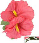Hibiskusblomst Hårklype Lyserosa