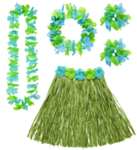 Maui Hawaii Sett Grønn