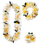 Natur Hawaii Sett Deluxe