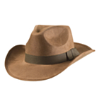 Indiana Jones Hatt