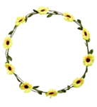 Pannebånd Gule Blomster