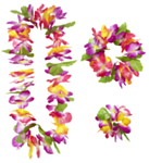 Mauna Hawaii Sett