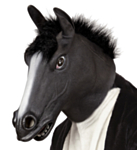 Hest Maske Svart