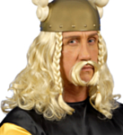 Asterix Parykk med Skjegg