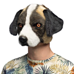 Hund Maske Bernard