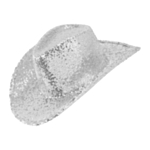 Paillet Cowboyhat Sølv