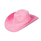 Rhinsten Cowboyhatt Rosa
