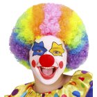 Klovneparykk Multifarget Barn