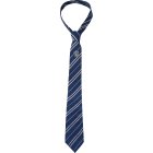 Harry Potter® Ravenclaw Slips & Brosje