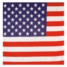 USA Bandana