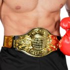 World Champion Bokser Belte