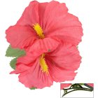 Hibiskusblomst Hårklype Lyserosa