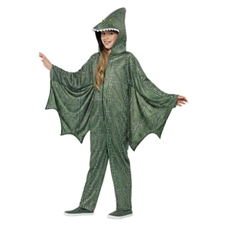 Flygende Dinosaur Barnekostyme