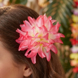 Hawaiiblomst Hårspenne