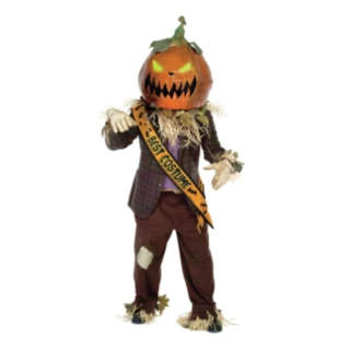 Best Costume Skråbånd