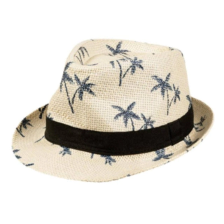 Hatt Palmønster