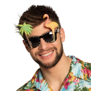 Hawaii Partybriller