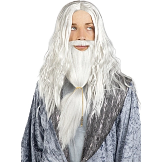 Harry Potter® Dumbledore Parykk & Skjegg
