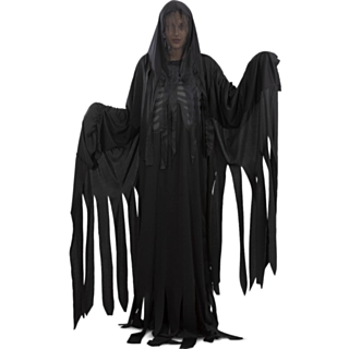Harry Potter® Dementor Kostyme