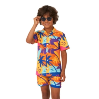 Opposuits® Palm Power Barn Sommersett