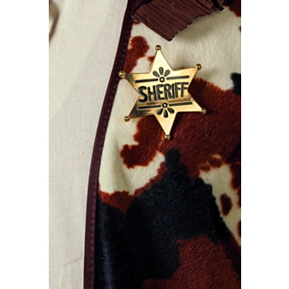 Sheriffstjerne Gull
