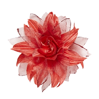 Tropisk Hårblomst Rød
