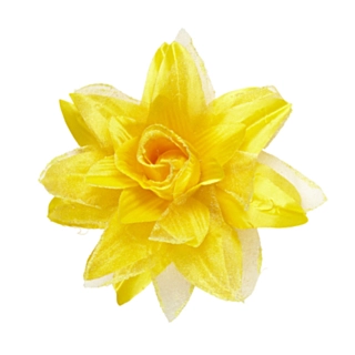 Tropisk Hårblomst Gul