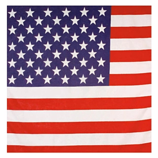 USA Bandana