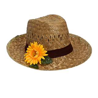 Stråhatt med blomst
