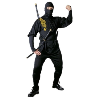 Ninja Dragekriger Kostyme