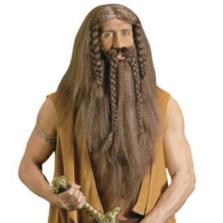 Langt Viking Skjegg & Parykk