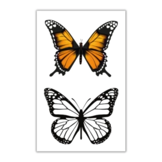 Sommerfugl Engangsatoveringer Oransje